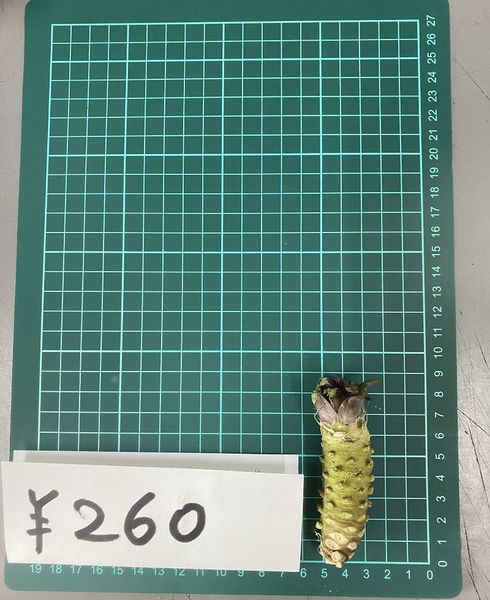 わさび